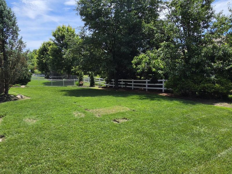 2435 Preservation Way, Florence, KY 41042 Photo 49