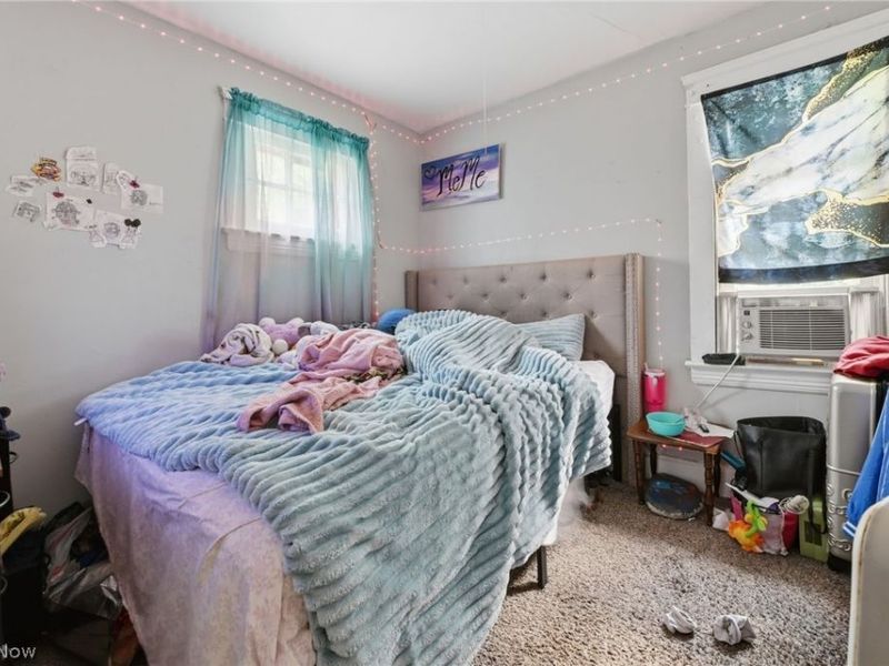 13314 Argus Avenue, Cleveland, OH 44110 Photo 11