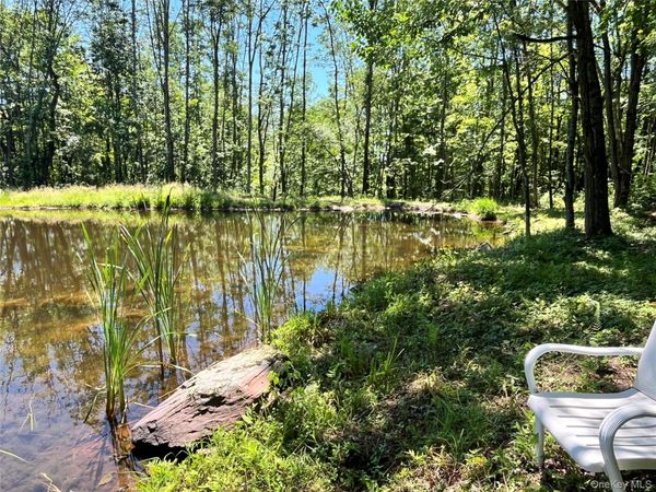Upper Pond Dahlia Road W, Livingston Manor, NY 12758