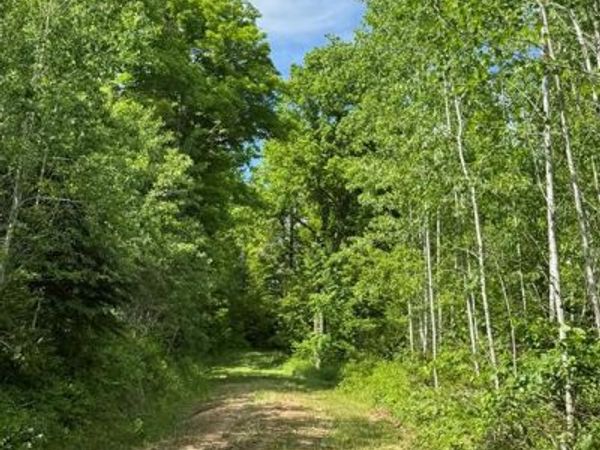 75134 West Road, Butternut, WI 54514
