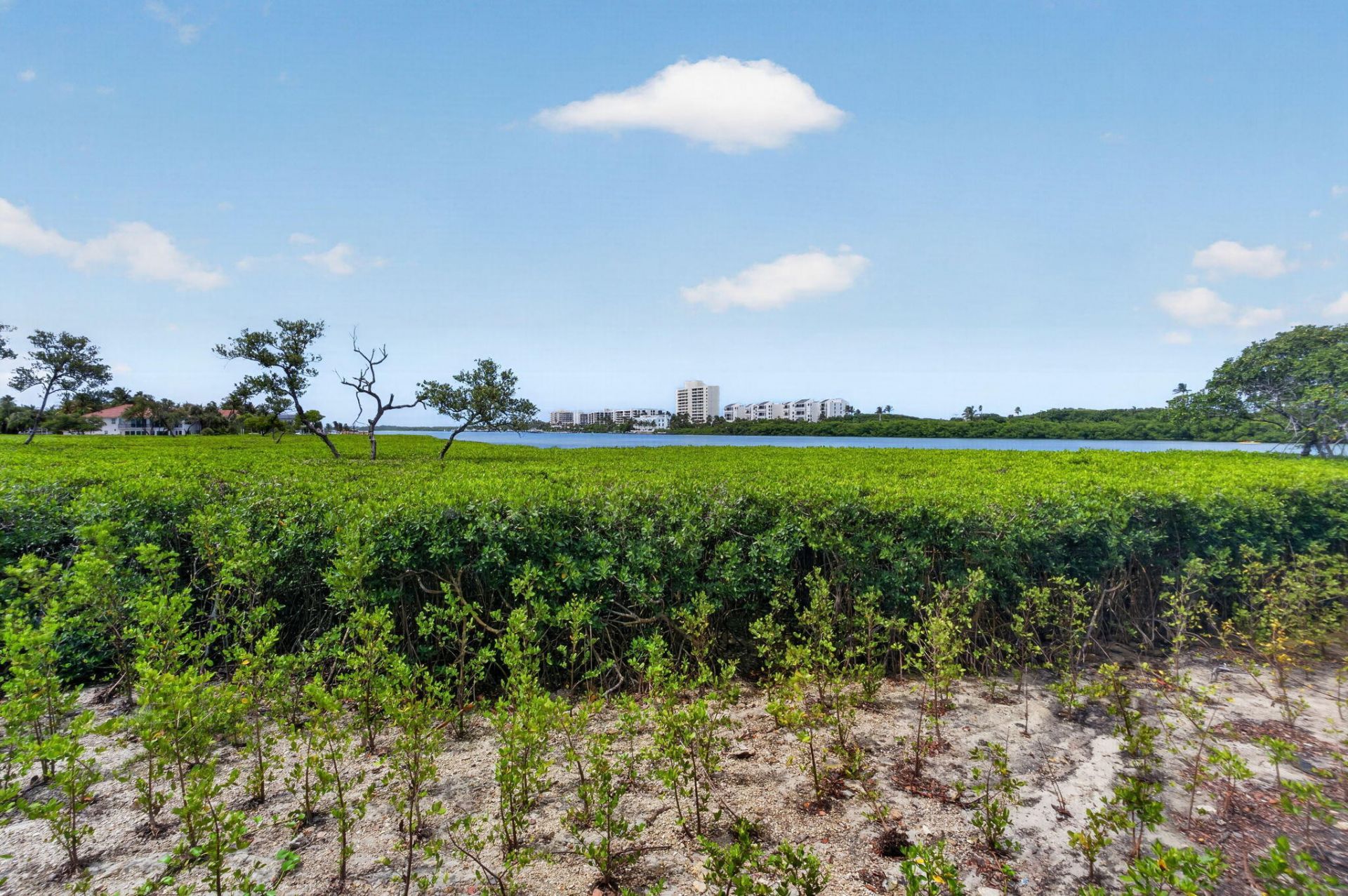 200 Waterway Road, Unit 104, Tequesta, FL 33469 Photo