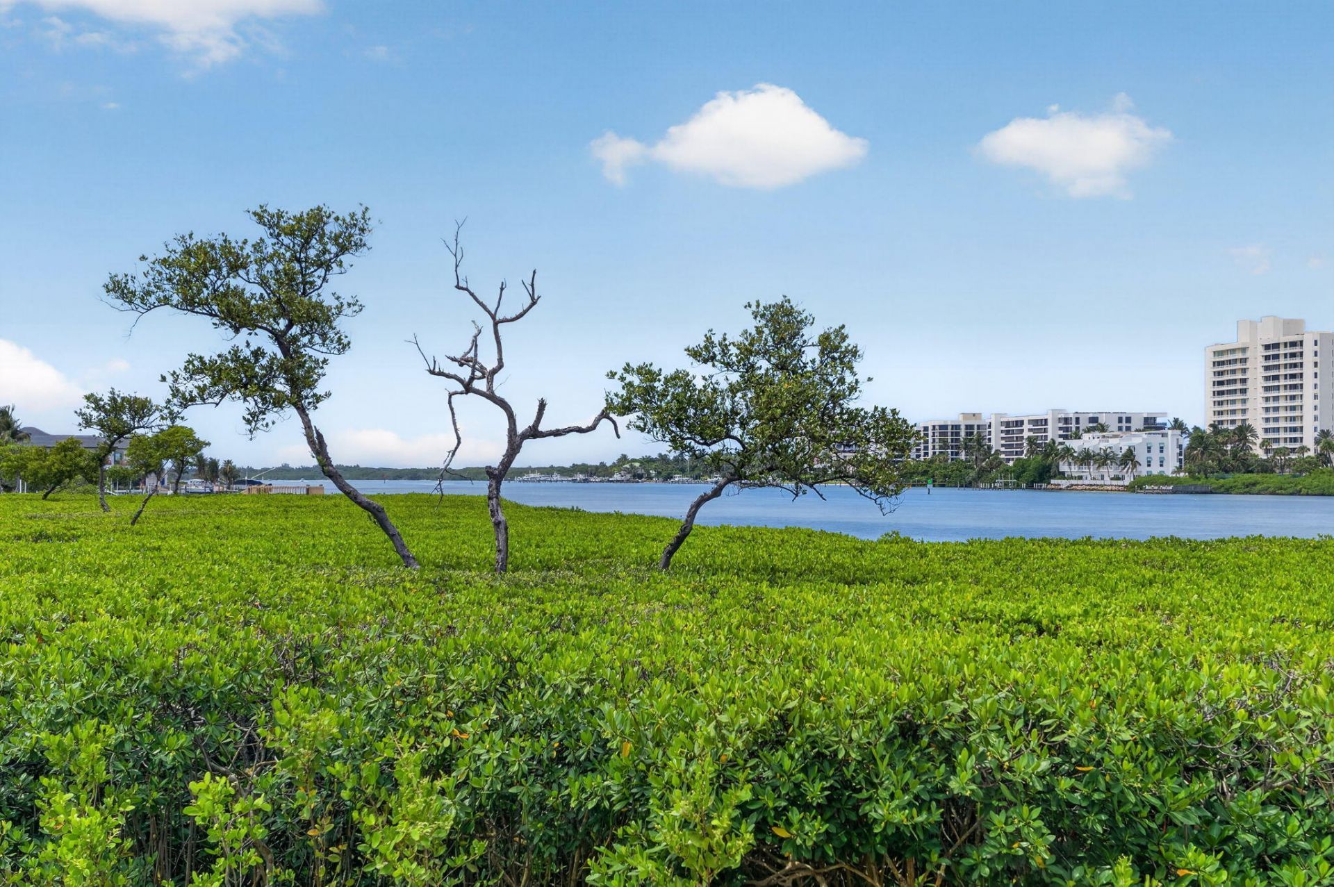 200 Waterway Road, Unit 104, Tequesta, FL 33469 Photo