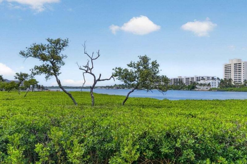200 Waterway Road, Unit 104, Tequesta, FL 33469 Photo