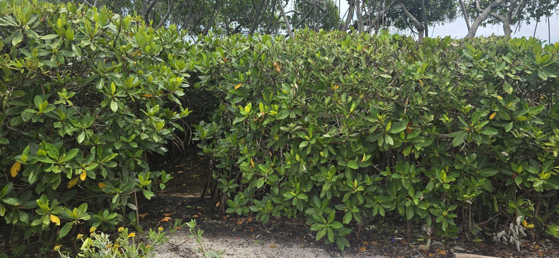 200 Waterway Road, Unit 104, Tequesta, FL 33469 Photo