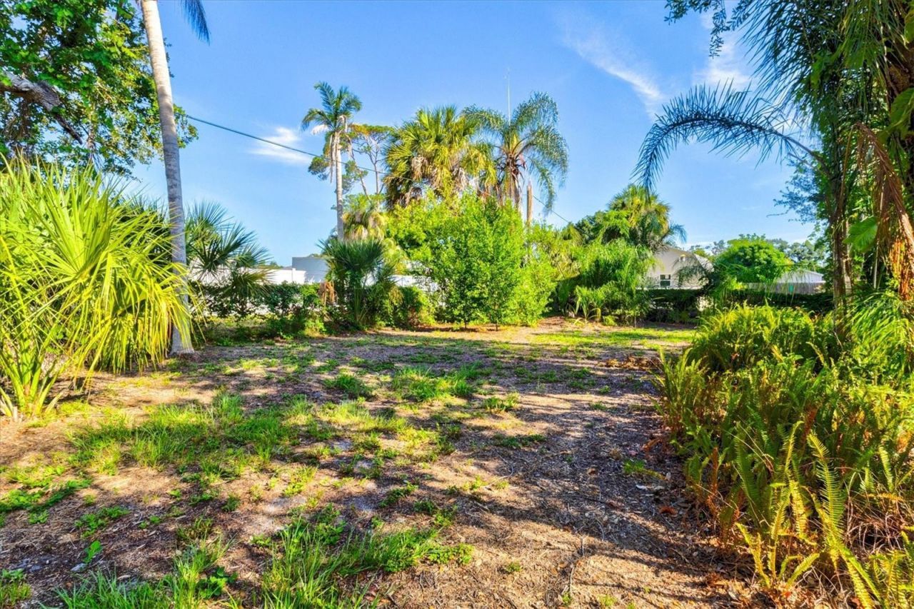 1208 28th Street W, Bradenton, FL 34205 Photo