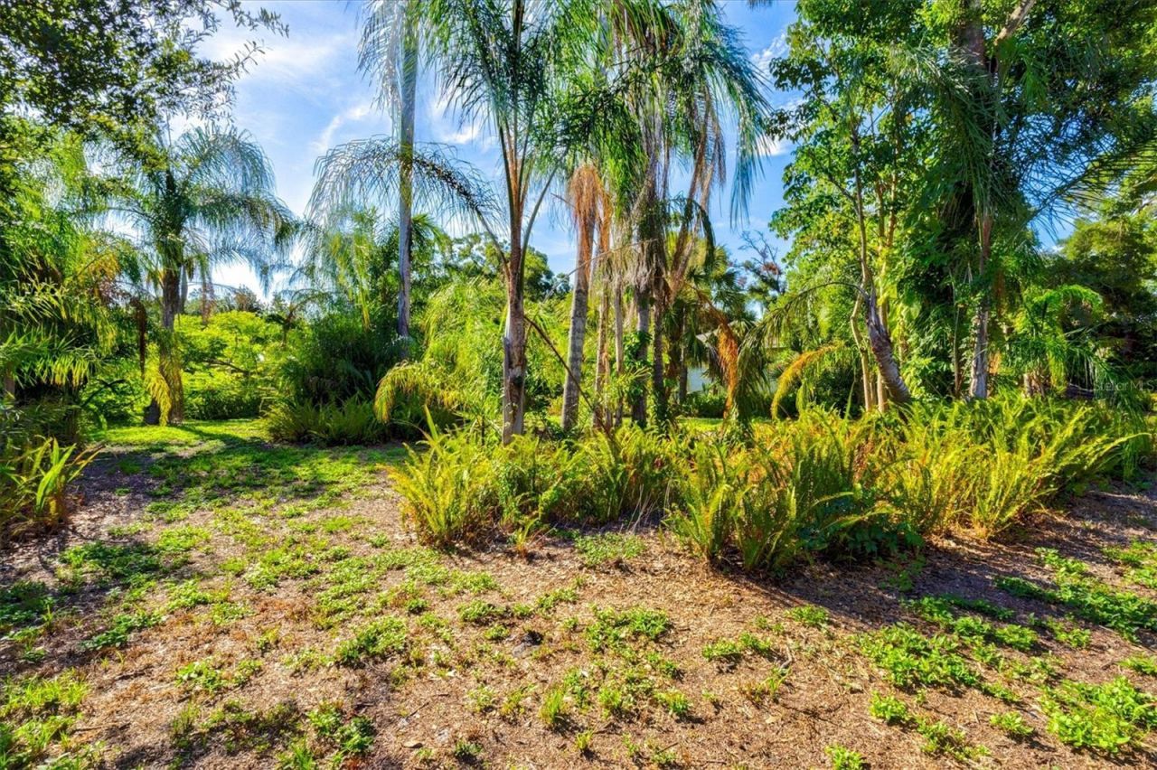 1208 28th Street W, Bradenton, FL 34205 Photo