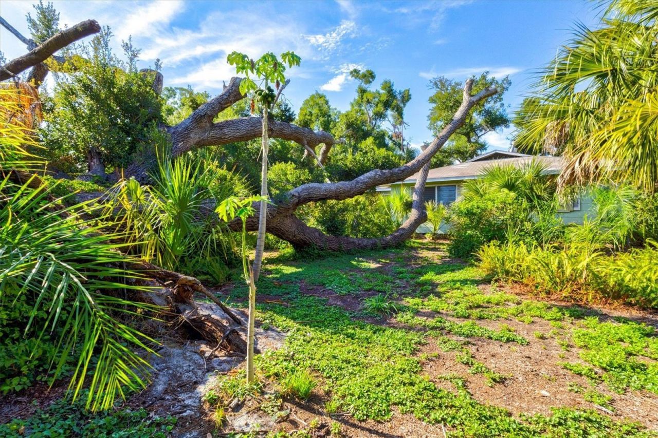 1208 28th Street W, Bradenton, FL 34205 Photo
