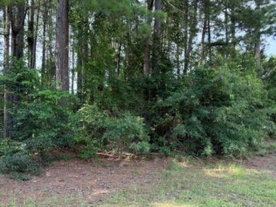2140 Watersong Run , Sumter, SC 29150