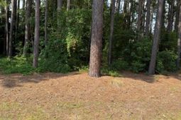 2140 Watersong Run  photo 4