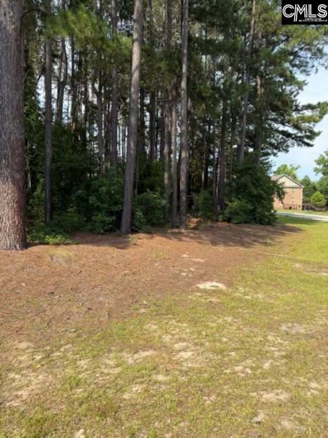 2140 Watersong Run  Photo 5