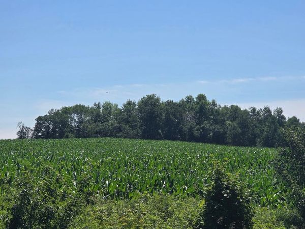 XX 110th , Frederic, WI 54837