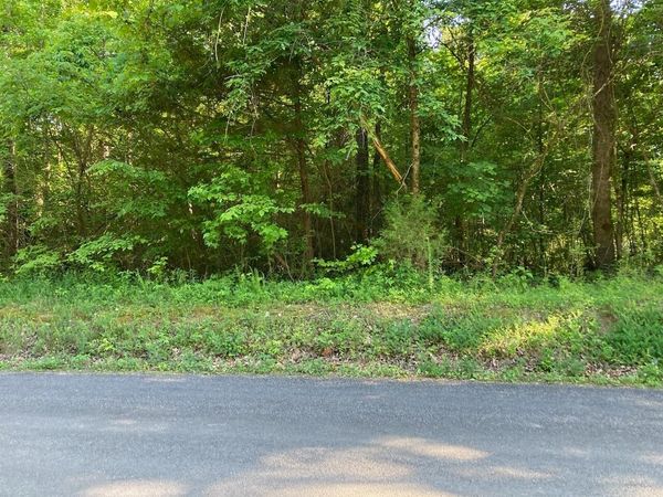 0 Horner Hollow Road , Birchwood, TN 37308
