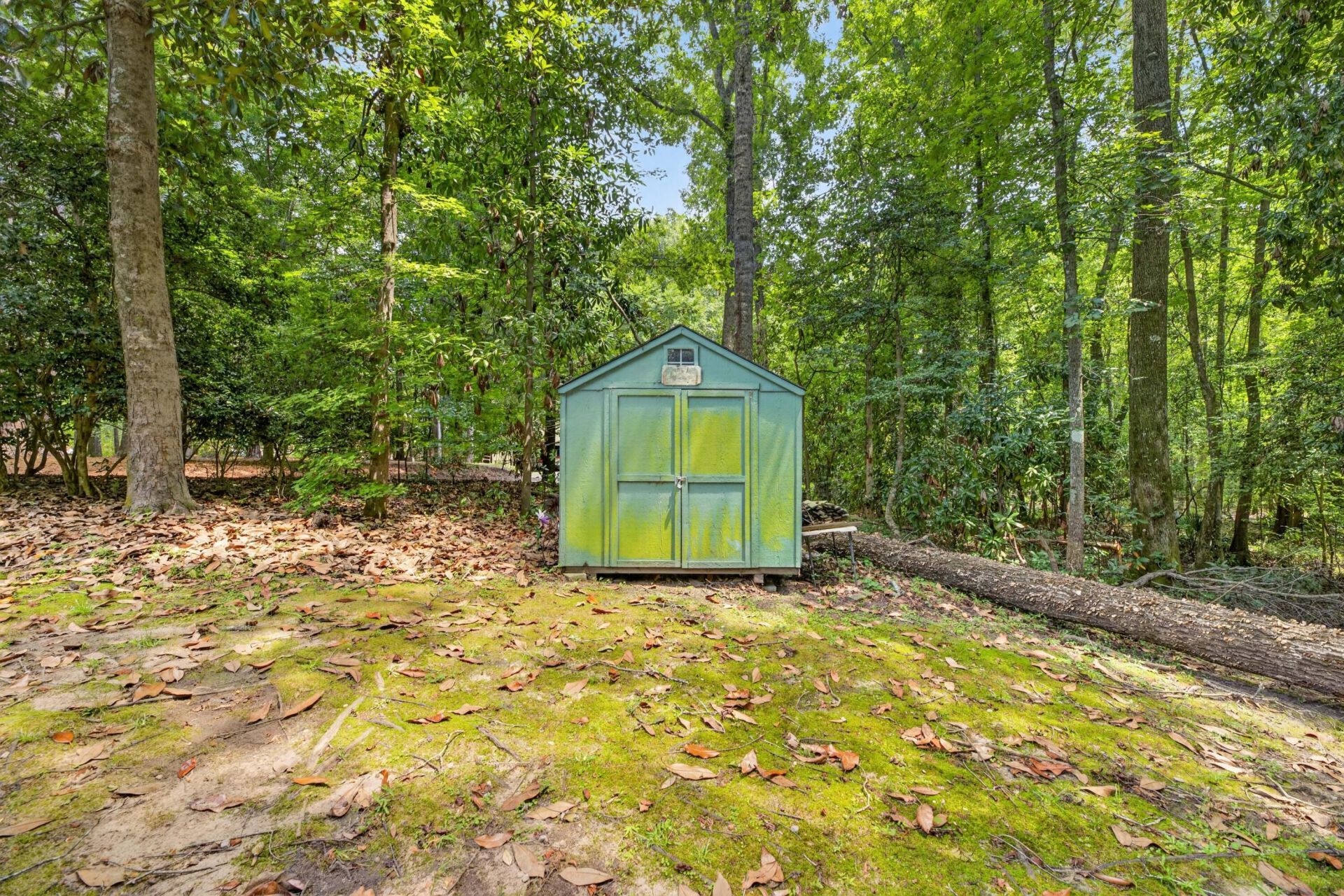 1133 Putter Path Road Photo 62