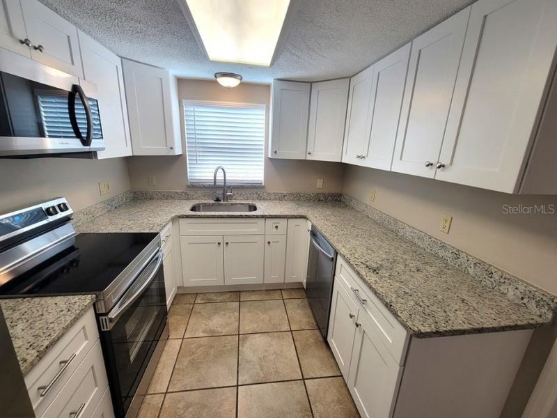 7335 Castanea Drive , Port Richey, FL 34668 Photo