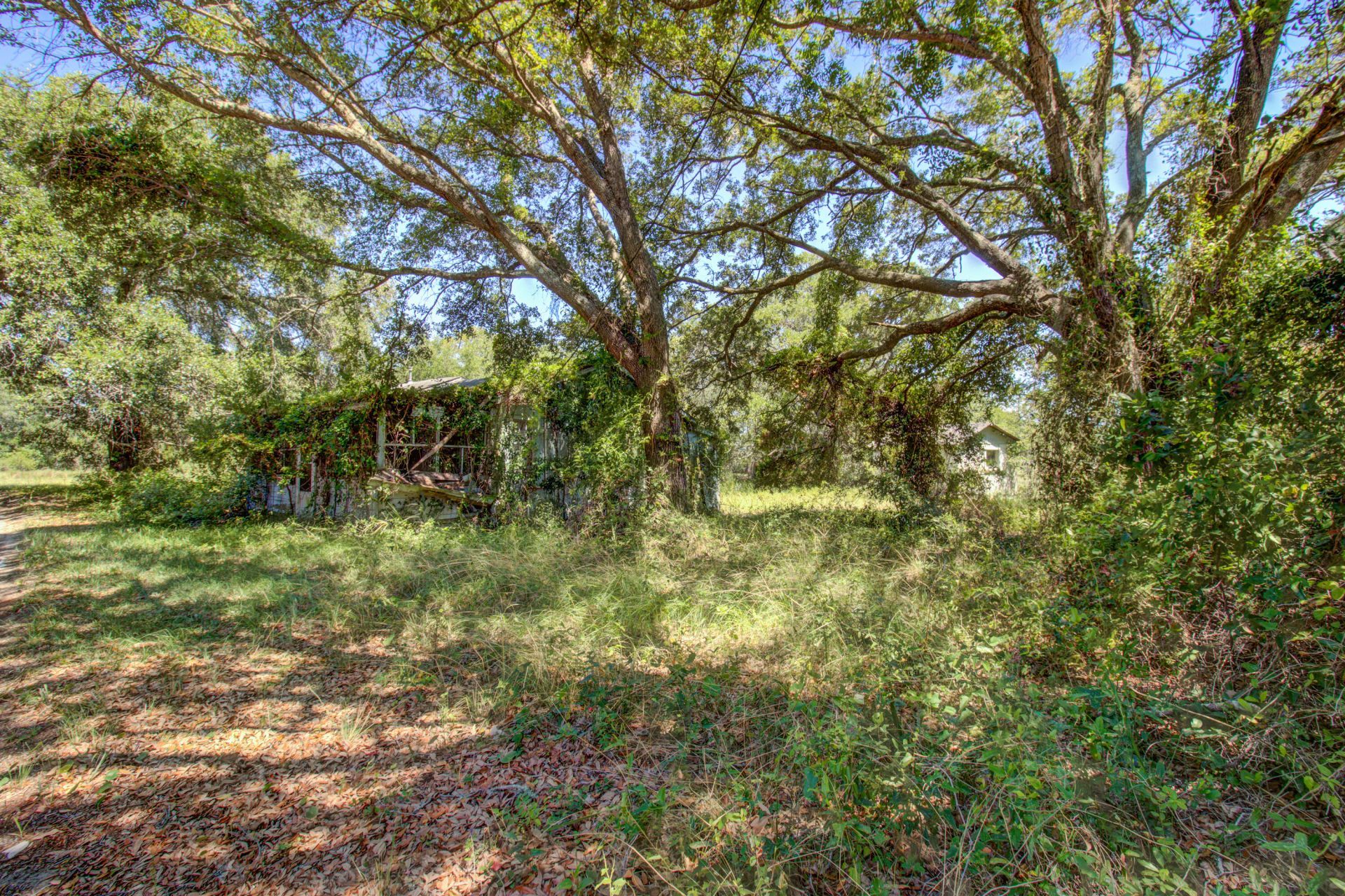 2107 Sol Legare Road Photo 15