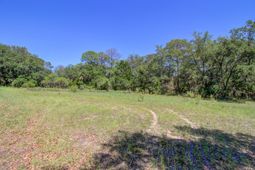 2107 Sol Legare Road photo 4