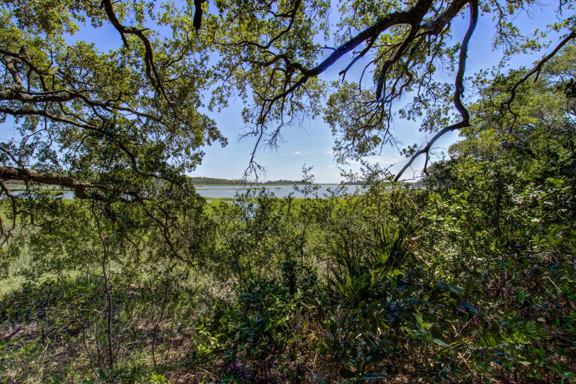 2107 Sol Legare Road Photo 6