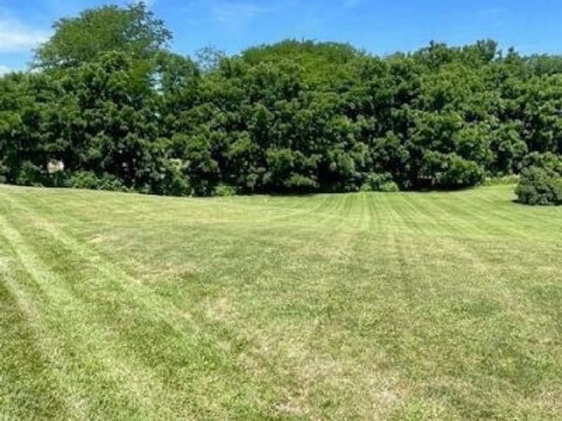 6685 Township Rd 14, Mount Gilead, OH 43338 Photo 25