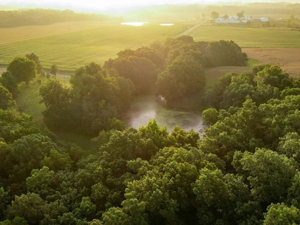 001 Preston Hollow Road, Murrayville, IL 62668