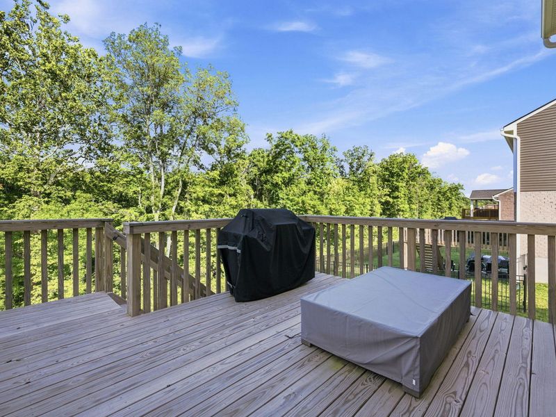 12013 Blue Ash Lane, Independence, KY 41051 Photo 33