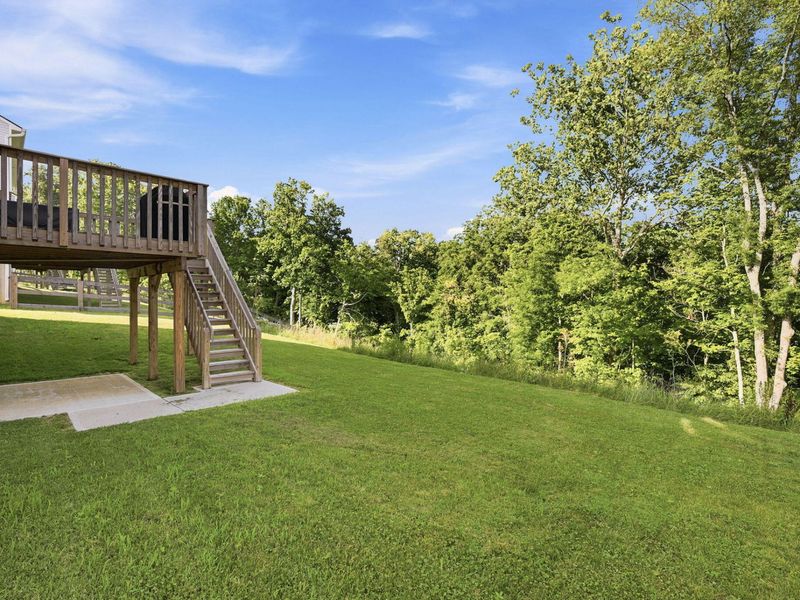 12013 Blue Ash Lane, Independence, KY 41051 Photo 34