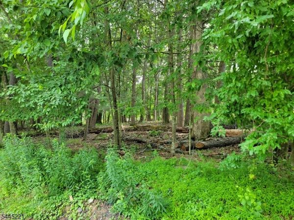 231 Old Chimney Ridge Rd, Montague, NJ 07827