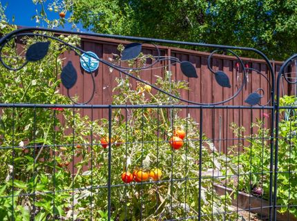 4901 Bradford Pl, Rocklin, CA 95765 Photo