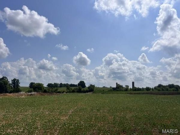12.41 Acres Palo Pinto Drive , O'Fallon, MO 63366