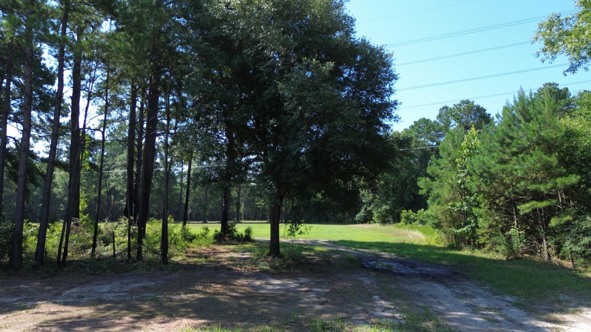 4 Trojan Road Photo 10