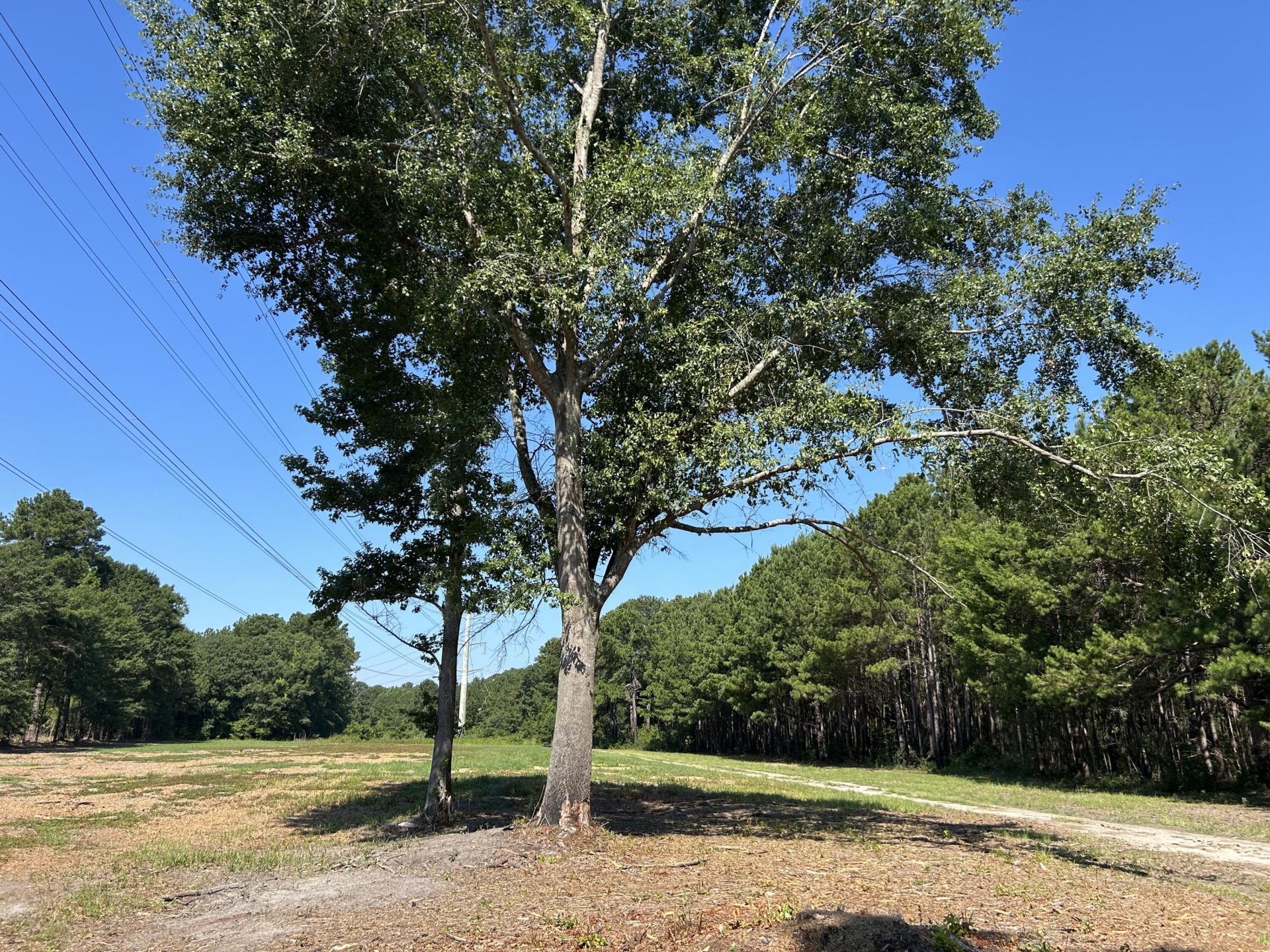 4 Trojan Road Photo 21