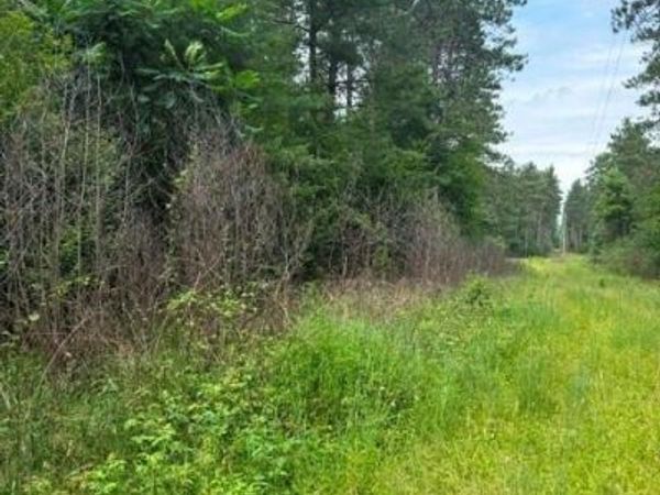 0 West Road, Black River Falls, WI 54615