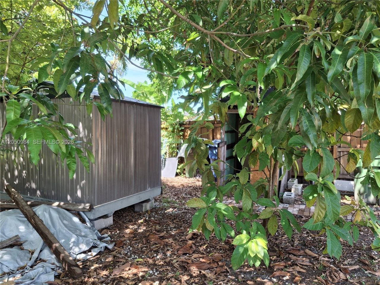 233 E 15th St , Hialeah, FL 33010 Photo