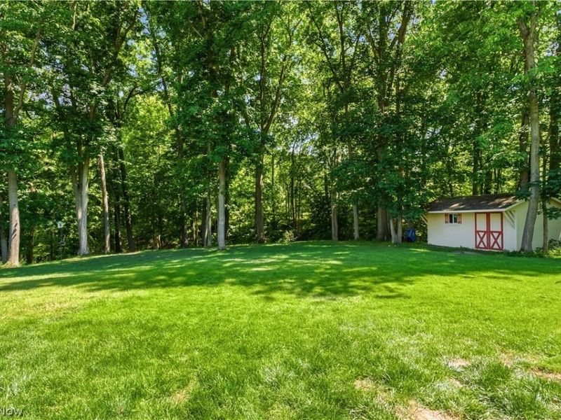 4141 Weymouth Road, Medina, OH 44256 Photo 30