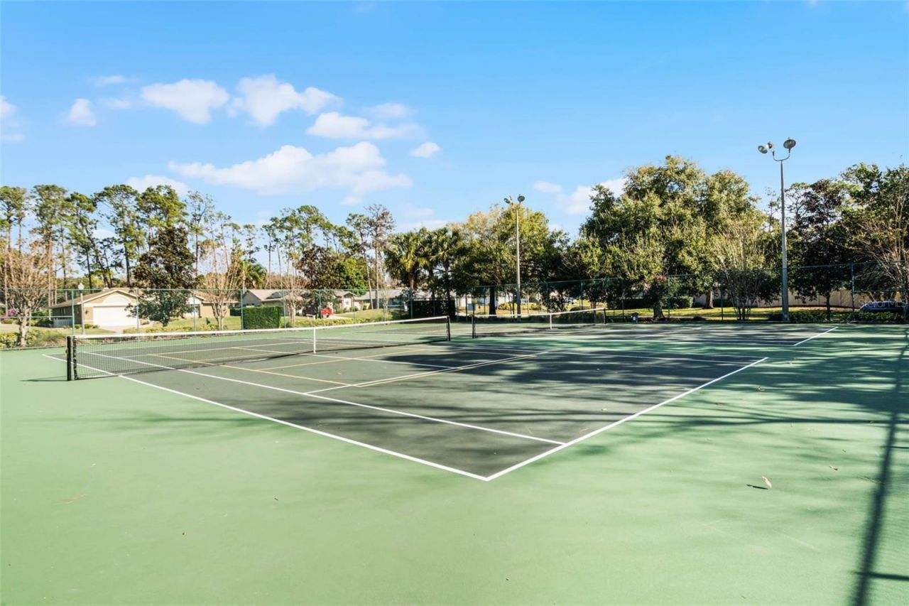 9433 Palm Tree Drive , Windermere, FL 34786 Photo