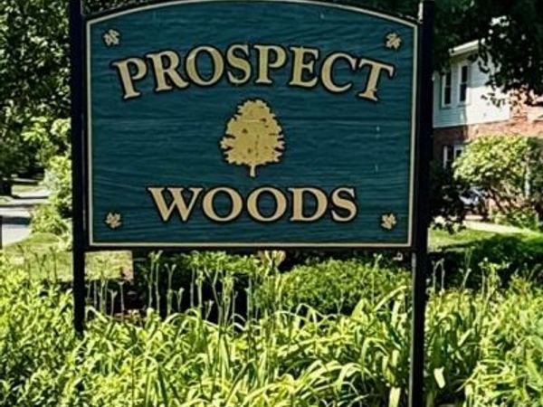 162 Prospect Ave, Unit 7, Northampton, MA 01060