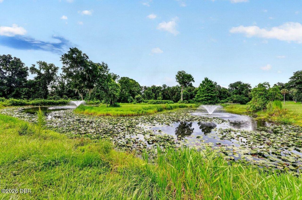 1980 Lake Hires Road, De Leon Springs, FL 32130 Photo
