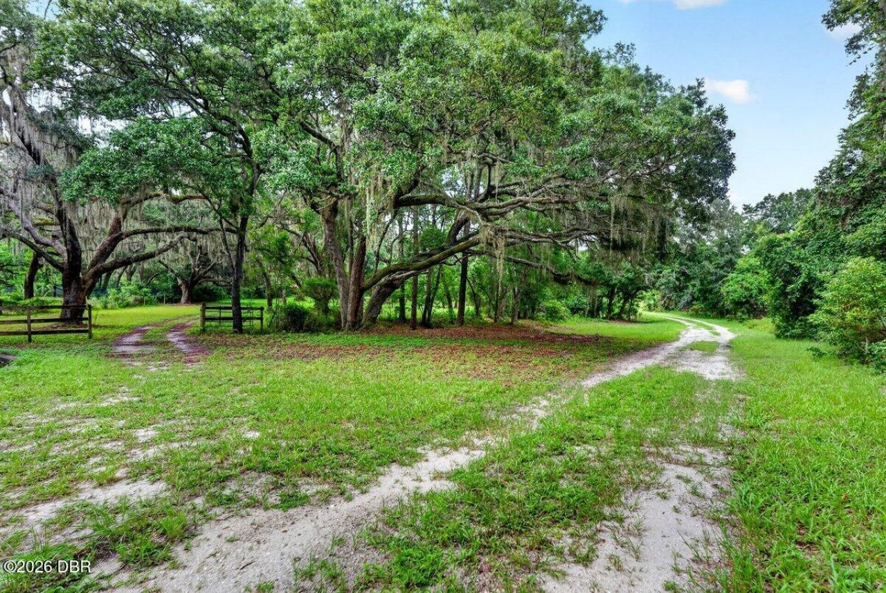 1980 Lake Hires Road, De Leon Springs, FL 32130 Photo