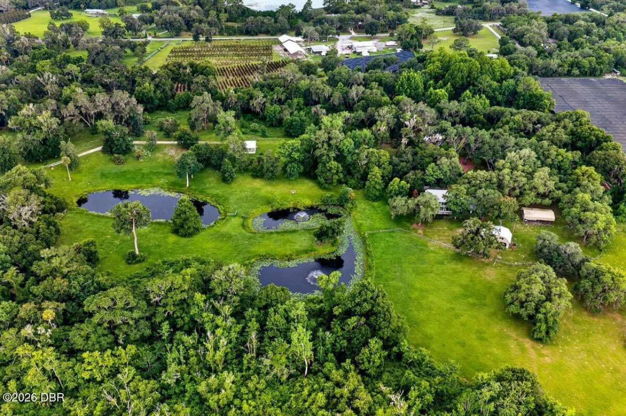 1980 Lake Hires Road, De Leon Springs, FL 32130 Photo