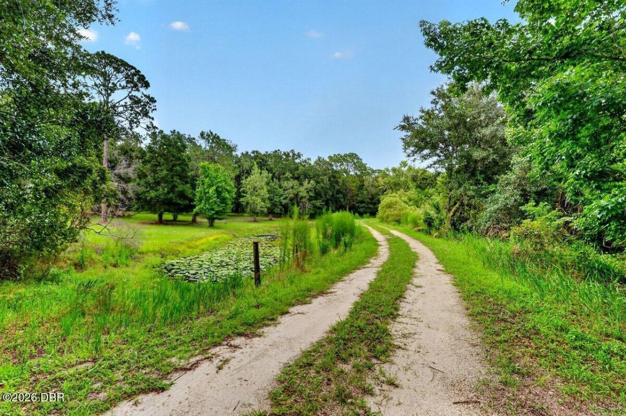 1980 Lake Hires Road, De Leon Springs, FL 32130 Photo