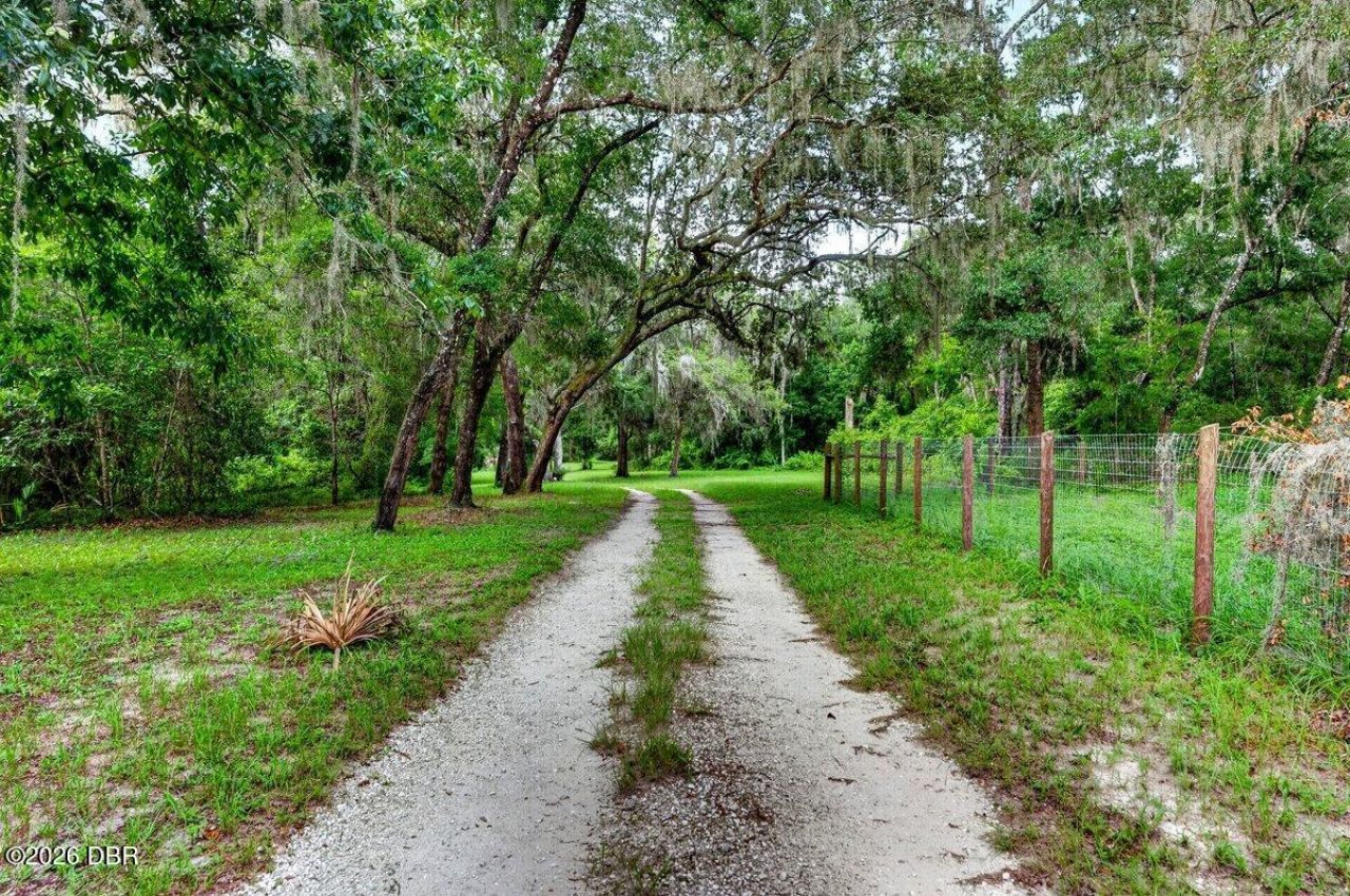 1980 Lake Hires Road, De Leon Springs, FL 32130 Photo