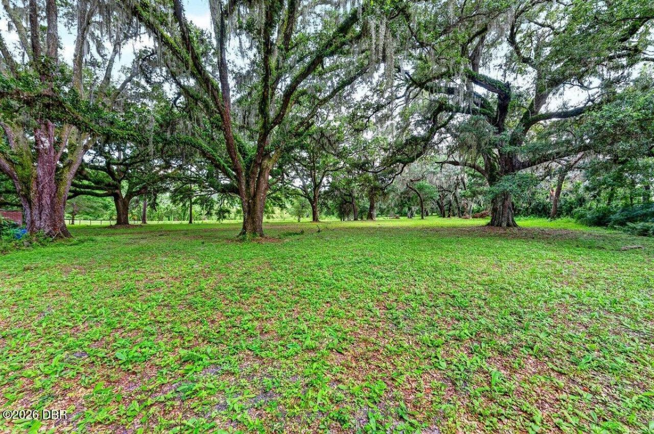 1980 Lake Hires Road, De Leon Springs, FL 32130 Photo