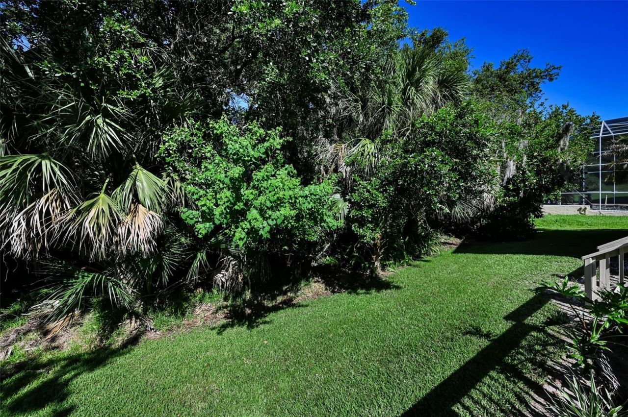 3848 Tarian Court, Palm Harbor, FL 34684 Photo