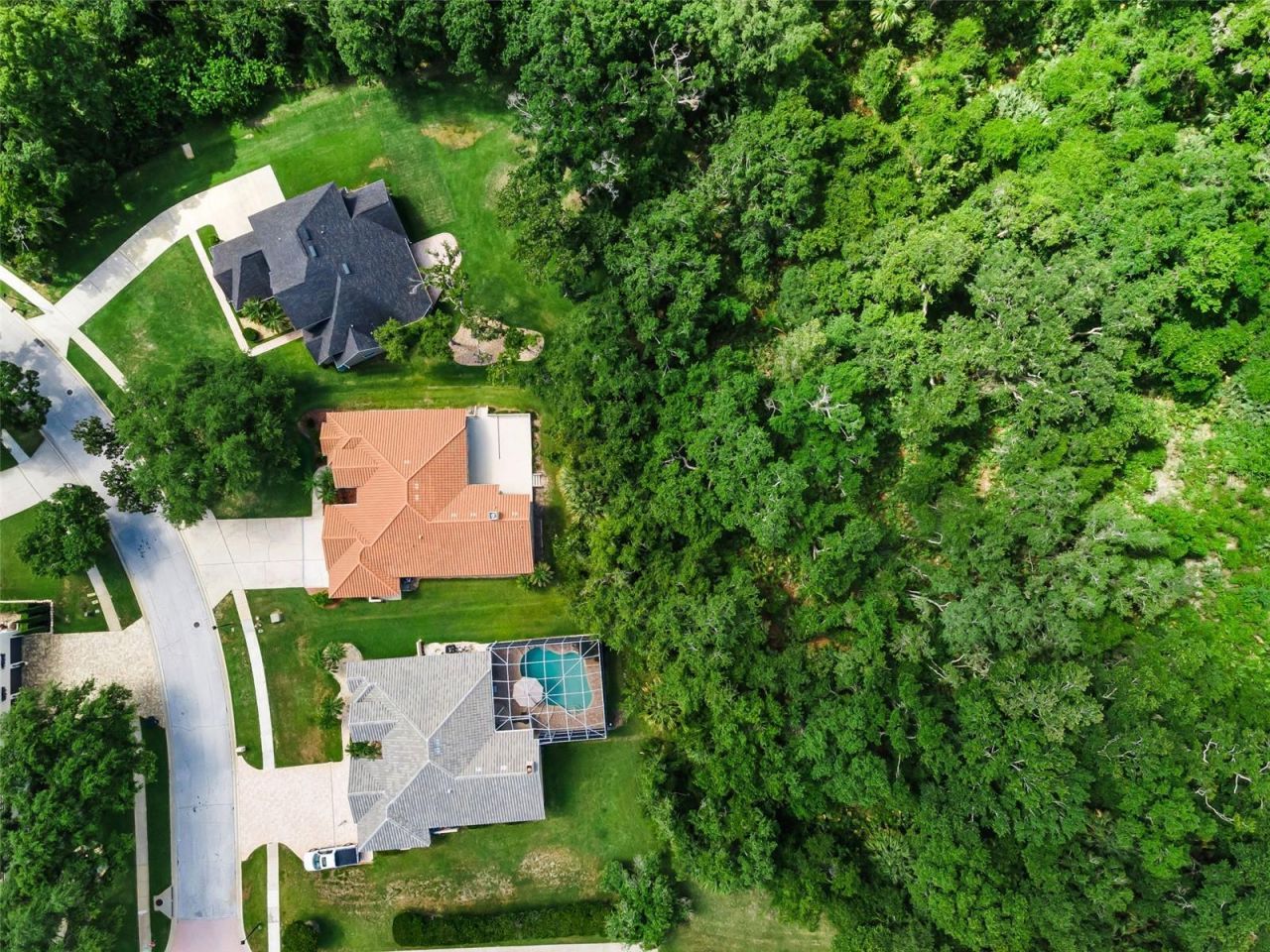 3848 Tarian Court, Palm Harbor, FL 34684 Photo