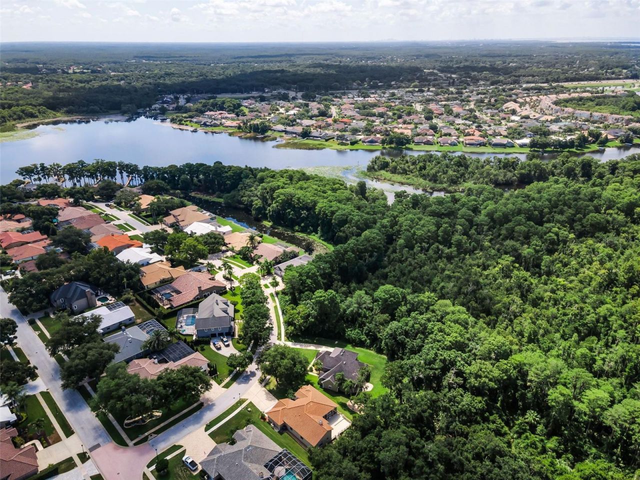 3848 Tarian Court, Palm Harbor, FL 34684 Photo