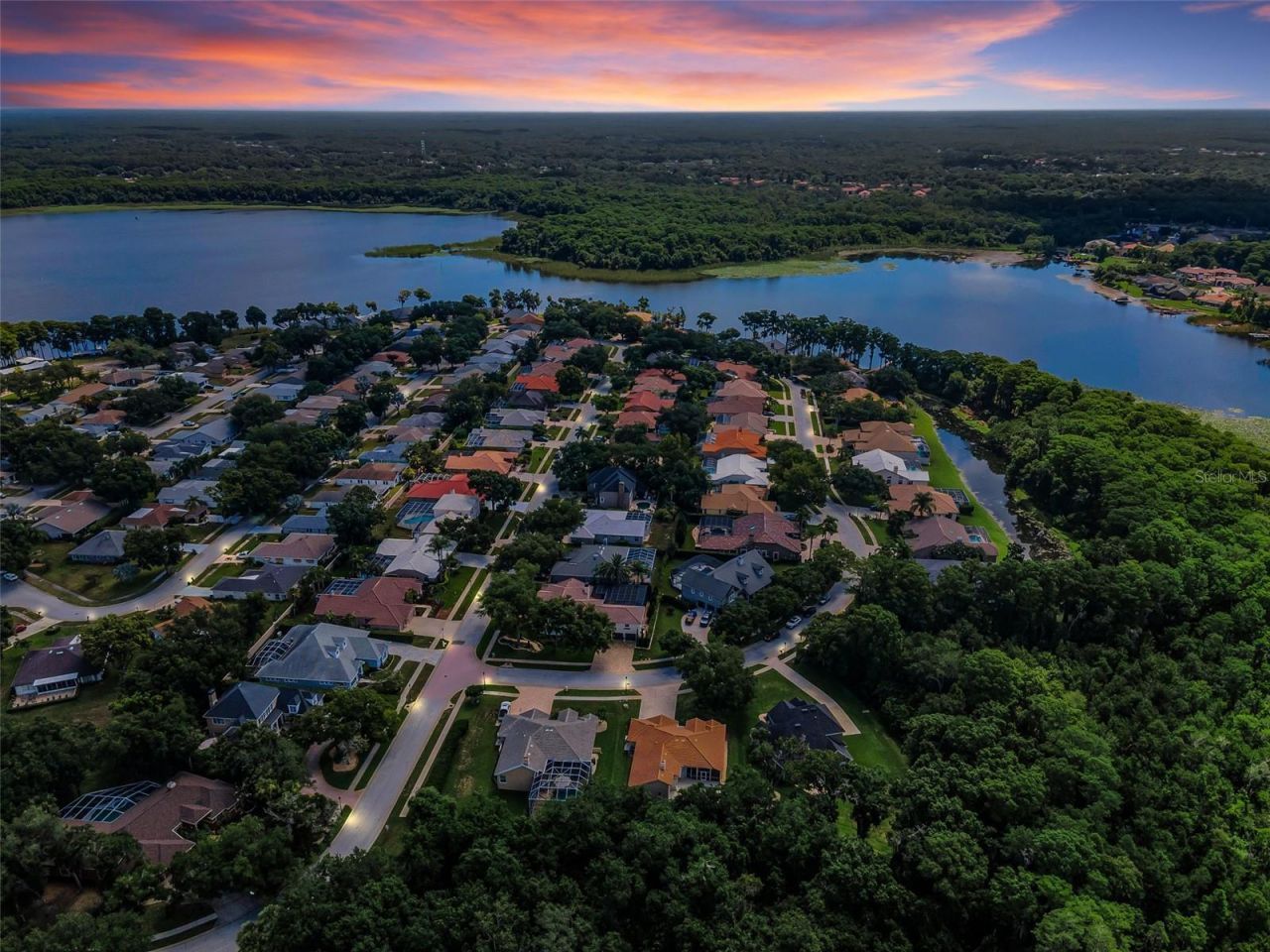 3848 Tarian Court, Palm Harbor, FL 34684 Photo