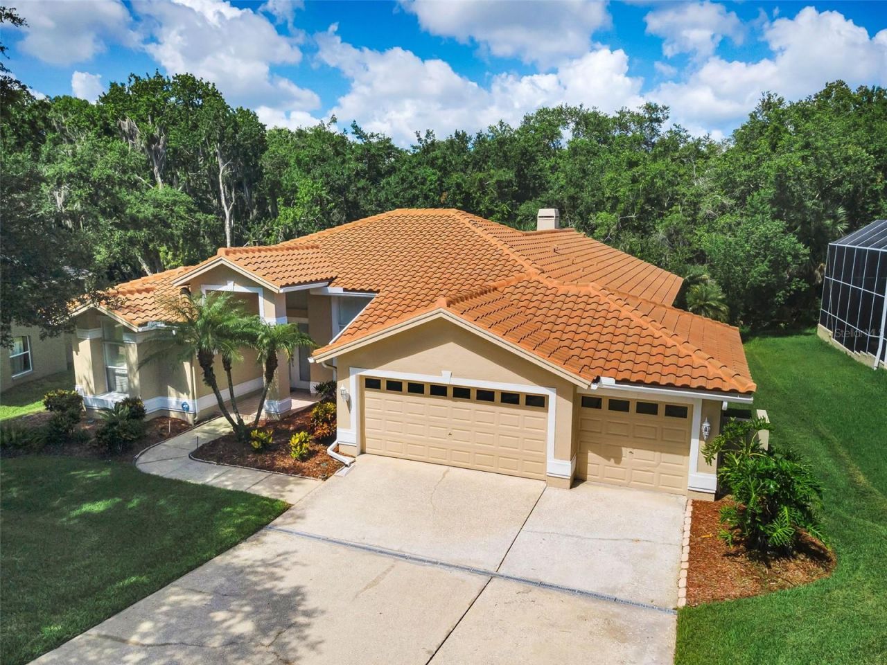 3848 Tarian Court, Palm Harbor, FL 34684 Photo