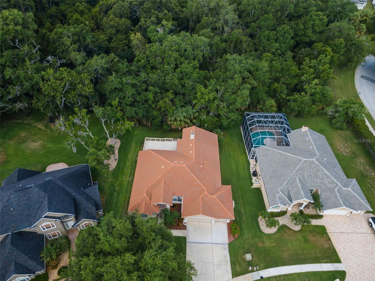 3848 Tarian Court, Palm Harbor, FL 34684 Photo