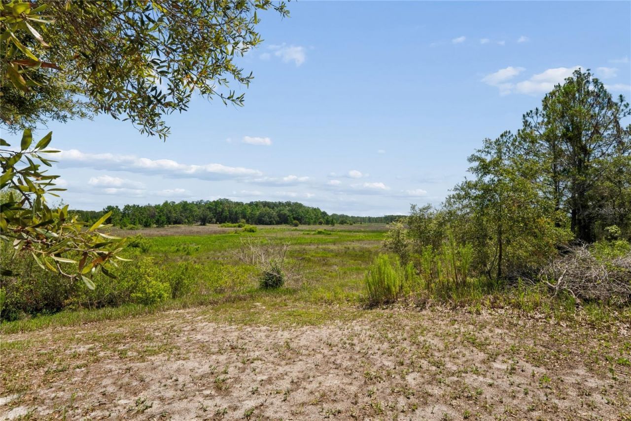 6381 Pinehurst Drive , Spring Hill, FL 34606 Photo
