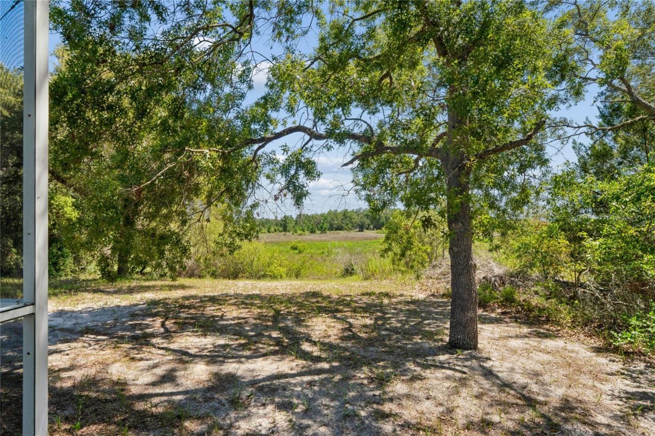 6381 Pinehurst Drive , Spring Hill, FL 34606 Photo