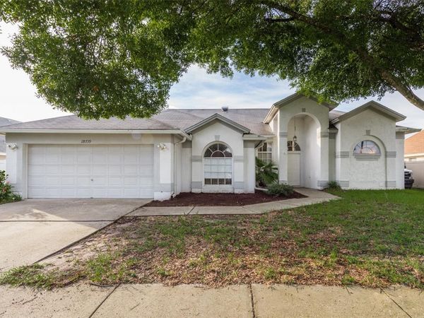 28739 COTTAGEWOOD DRIVE , WESLEY CHAPEL, FL 33545